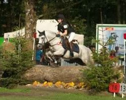 dressage horse Vasco (German Riding Pony, 2008, from Vivaldi)