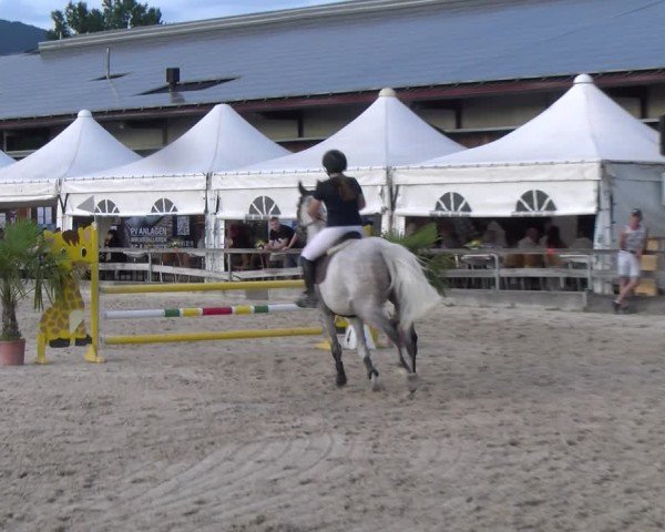 Reitturnier Balsthal 2025