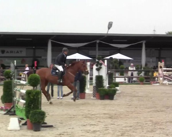 Großes Reit- und Springturnier Kirchhellen/Stall Dieckmann 2014