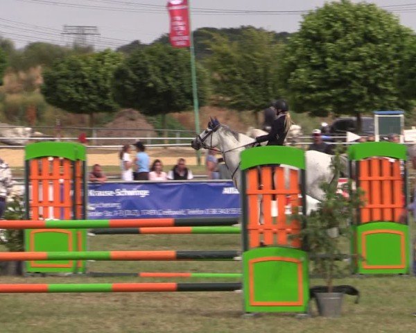 Reitturnier Dersekow 2025