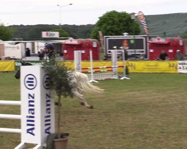 Reitturnier Dersekow 2025