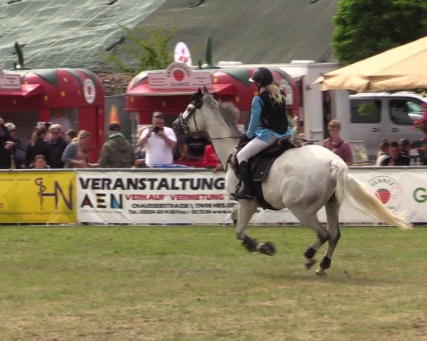 Reitturnier Dersekow 2025