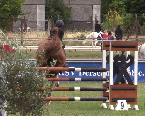 Reitturnier Dersekow 2025
