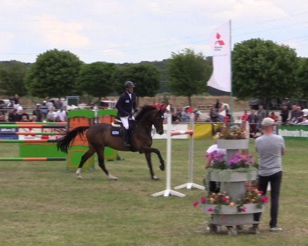 Reitturnier Dersekow 2025