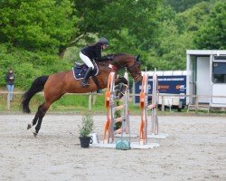 broodmare Locke (Holsteiner, 2018, from Vincent)