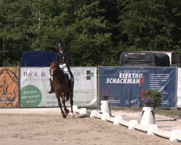 Reitturnier Heiligenwald 2025