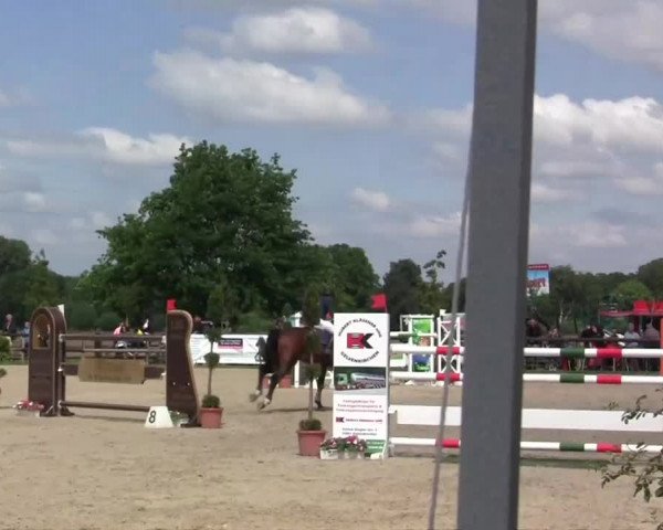 Großes Reit- und Springturnier Kirchhellen/Stall Dieckmann 2014