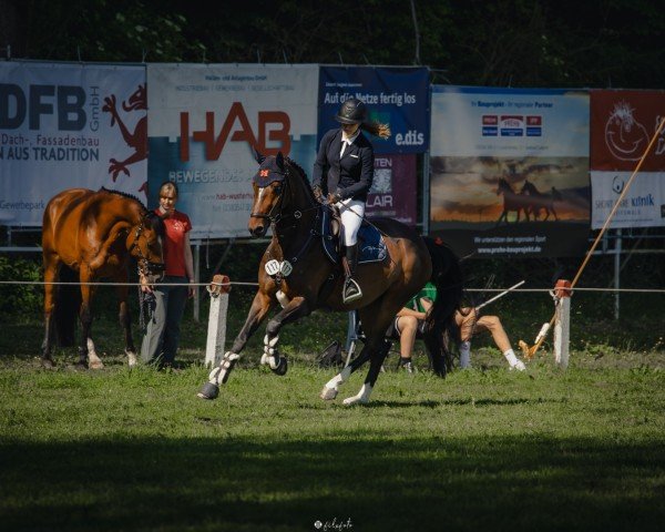 jumper La Bonita 92 (Mecklenburg, 2020, from Landstreicher)