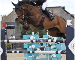jumper La Gupardie (KWPN (Royal Dutch Sporthorse), 2016, from van Gogh)