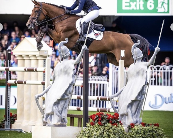 jumper PSS Expect the Best (KWPN (Royal Dutch Sporthorse), 2012, from Berlin)