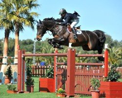 Springpferd Unex Omega Star (Irish Sport Horse, 2002, von Quick Star)