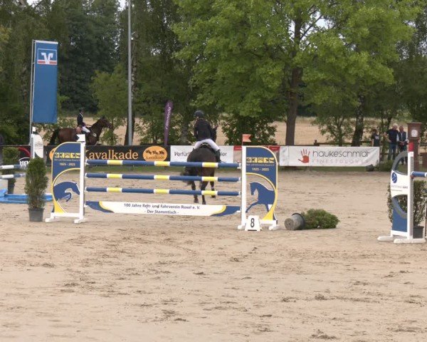 Reitturnier Münster-Roxel 2025