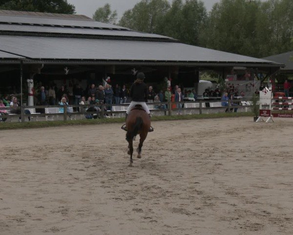 Reitturnier Münster-Roxel 2025