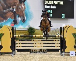 jumper Colton Playtime (Irish Sport Horse, 2010, from Dokkum de Rialfo)