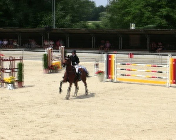 Reitturnier Ingolstadt-Hagau/Obb. 2025