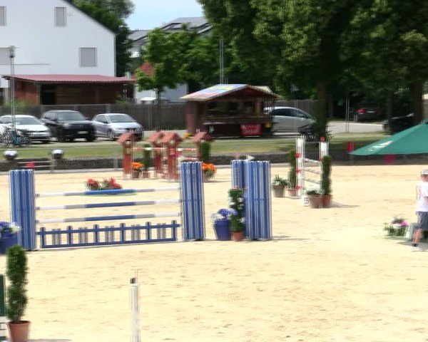 Reitturnier Ingolstadt-Hagau/Obb. 2025