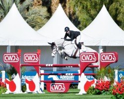 jumper Caya (Hanoverian, 2013, from Christian 25)