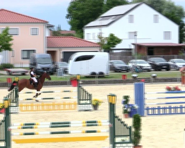 Reitturnier Ingolstadt-Hagau/Obb. 2025