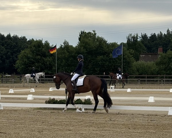 broodmare For Dreams W (Oldenburg, 2021, from Moreno)