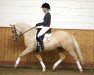 dressage horse GVK Cantona (German Riding Pony, 2011, from Chantre 31)