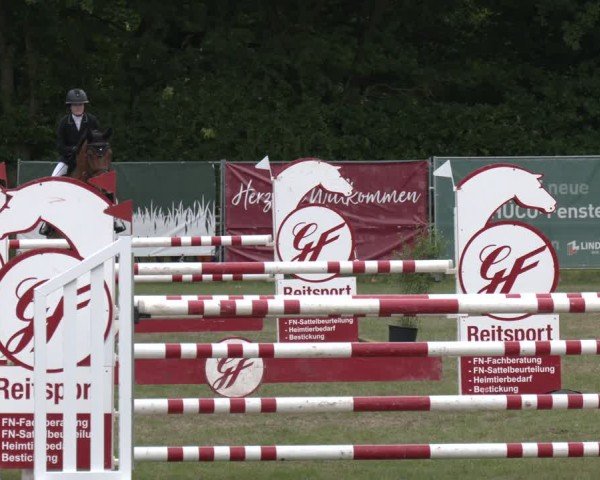 Reitturnier Wohlesbostel 2025