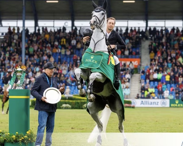 jumper Leone Jei (KWPN (Royal Dutch Sporthorse), 2012, from Baltic VDL)