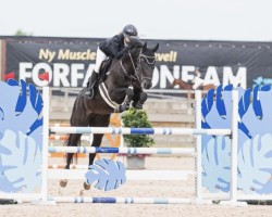jumper Kobe (KWPN (Royal Dutch Sporthorse), 2015, from No Limit)