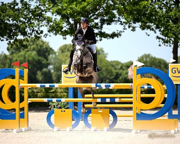 jumper Hilda M (Oldenburg, 2018, from Hickstead White)