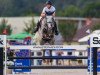 jumper Warrior de Pleville Z (Zangersheide riding horse, 2013, from Winningmood van de Arenberg)