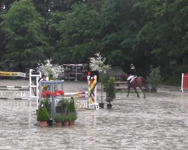 Iserlohn-Kalthof 2014