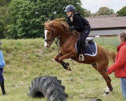 Dressurpferd MBF Curacao de Luxe (Deutsches Reitpony, 2016, von Can Dance 3)