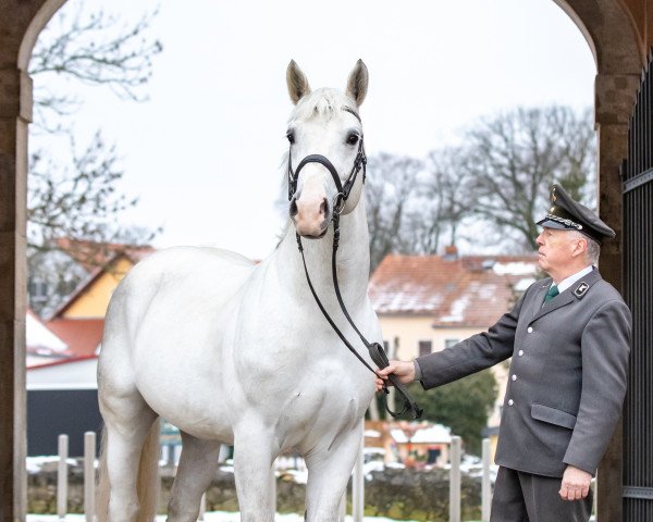 stallion Eckstein's Eminenz (Sachs-door. Heavy Warmbl., 2015, from Eckstein)