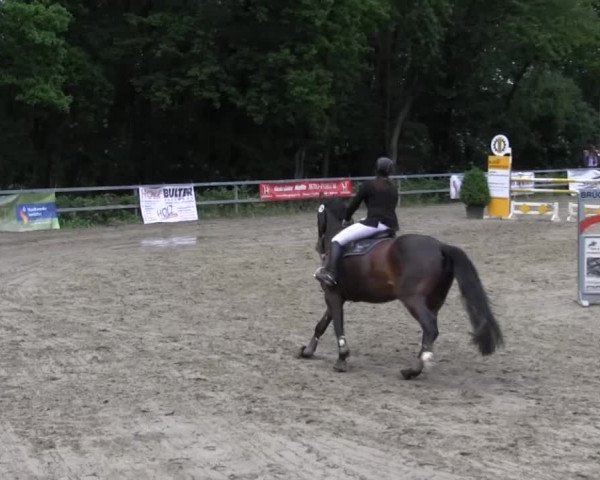 Iserlohn-Kalthof 2014