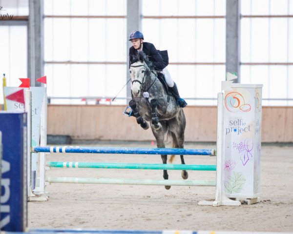 broodmare Chacco S (Oldenburg show jumper, 2016, from Chaccato)