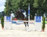 jumper Cosmo K (Hanoverian, 2012, from Contendro I)