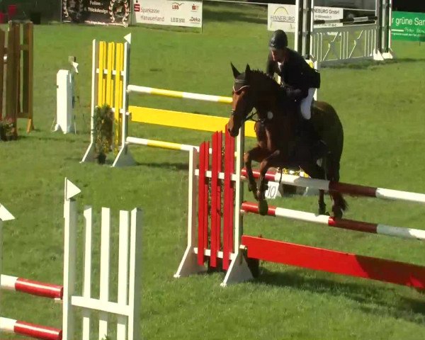 Sommerturnier Legelshurst 2014