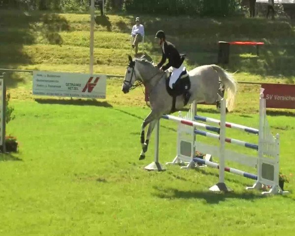 Sommerturnier Legelshurst 2014