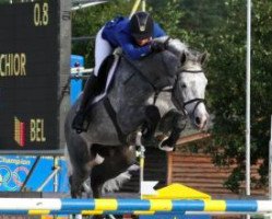 stallion Clintissimo 197 FIN (Holsteiner, 2005, from Clinton I)