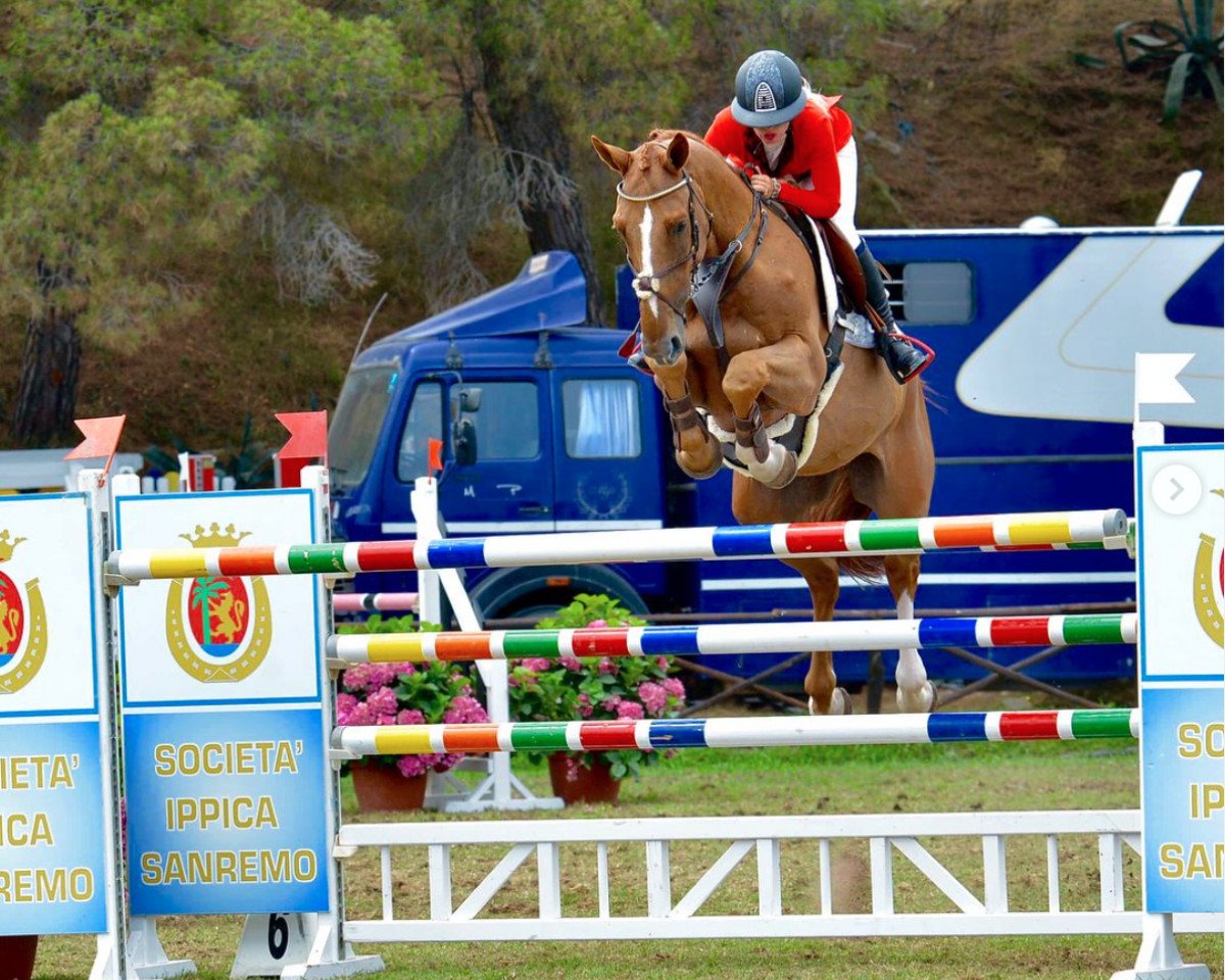 Springpferd Ice Tea (Belgisches Warmblut, 2008, von Tresor d'Opaline)