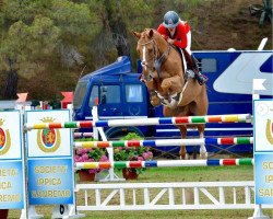 jumper Ice Tea (Belgian Warmblood, 2008, from Tresor d'Opaline)