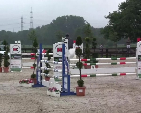 Großes Reit- und Springturnier Kirchhellen/Stall Dieckmann 2014