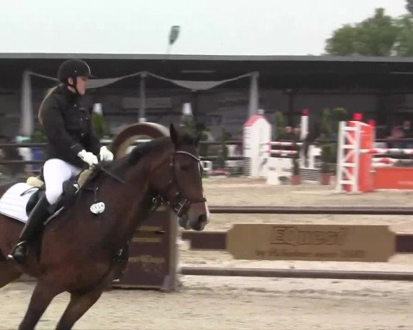 Großes Reit- und Springturnier Kirchhellen/Stall Dieckmann 2014