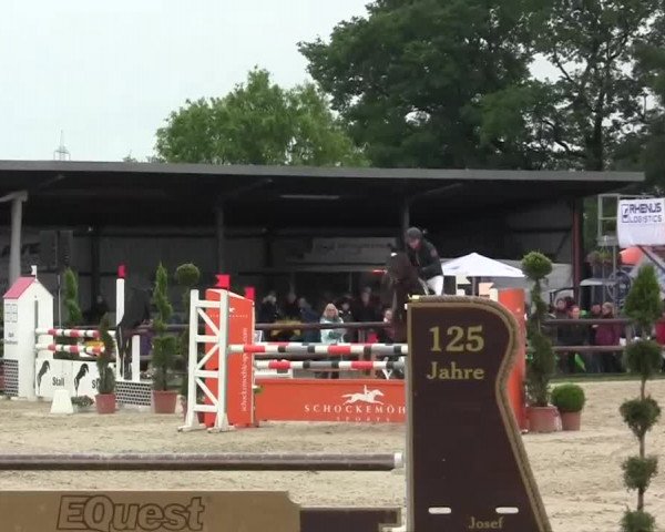 Großes Reit- und Springturnier Kirchhellen/Stall Dieckmann 2014
