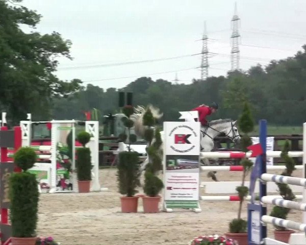 Großes Reit- und Springturnier Kirchhellen/Stall Dieckmann 2014