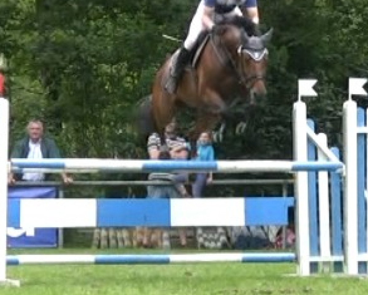 broodmare Canturana in Red R (Hanoverian, 2008, from Canturano I)