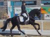 jumper Nepumuk K (German Riding Pony, 2010, from Nemax)