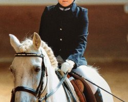 dressage horse Max (Haflinger, 1991, from Afram Virko)