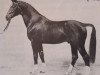 stallion Galvano (Hanoverian, 1982, from Grande)