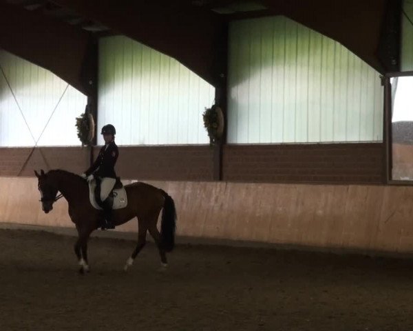 Iserlohn-Kalthof 2014