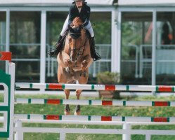 jumper Ellely's Quality (Danish Warmblood, 2007, from Quidam de Revel)